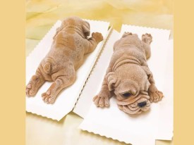 Molde silicona perrito sharpei